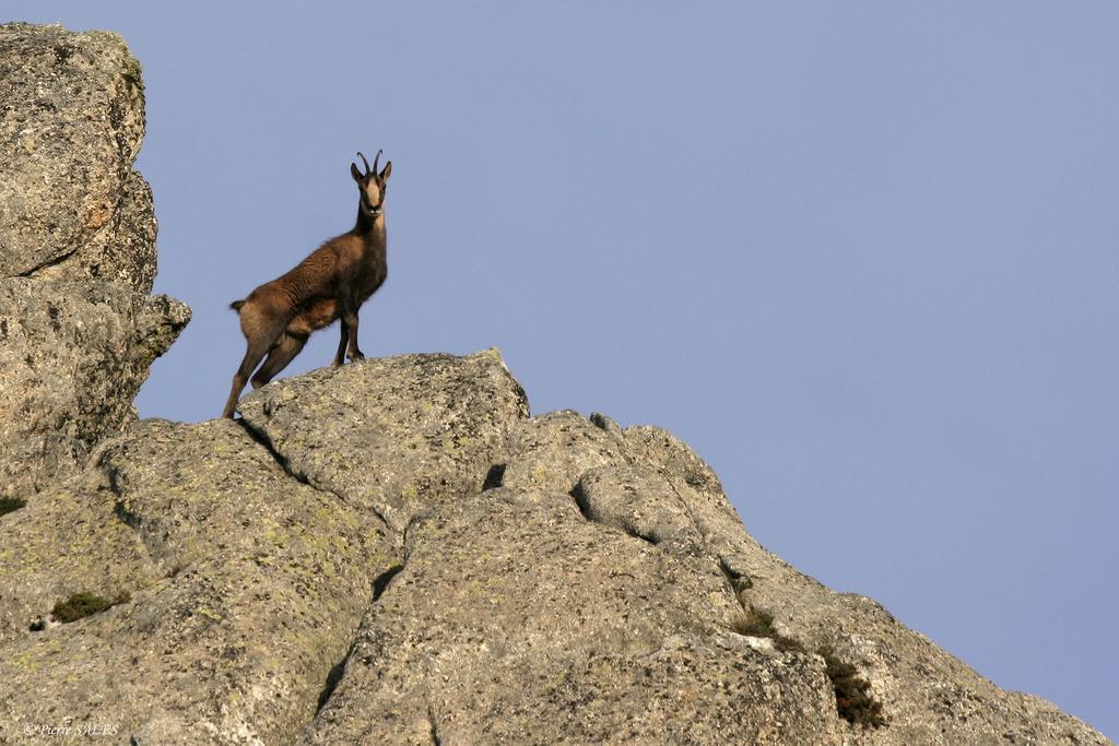 Vvf Pyrenees Canigou Prats-de-Mollo-la-Preste Exteriér fotografie
